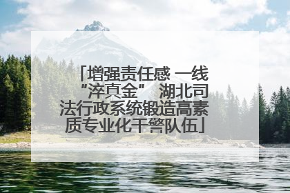增强责任感 一线“淬真金” 湖北司法行政系统锻造高素质专业化干警队伍
