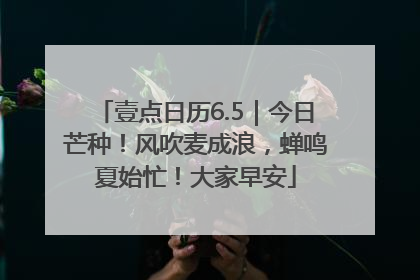 壹点日历6.5｜今日芒种！风吹麦成浪，蝉鸣夏始忙！大家早安