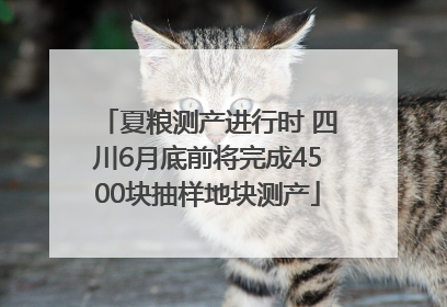 夏粮测产进行时 四川6月底前将完成4500块抽样地块测产