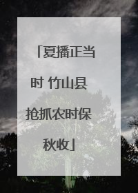夏播正当时 竹山县抢抓农时保秋收