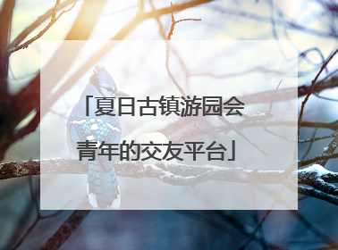 夏日古镇游园会 青年的交友平台