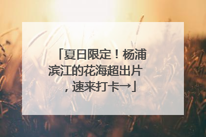 夏日限定！杨浦滨江的花海超出片，速来打卡→