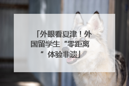 外眼看夏津！外国留学生“零距离”体验非遗