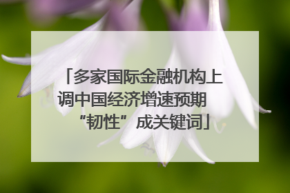 多家国际金融机构上调中国经济增速预期 “韧性”成关键词