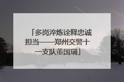 多岗淬炼诠释忠诚担当——郑州交警十一支队董国瑞