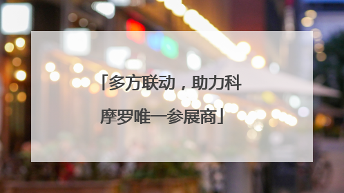 多方联动，助力科摩罗唯一参展商