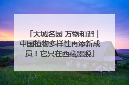 大城名园 万物和谐｜中国植物多样性再添新成员！它只在西藏墨脱