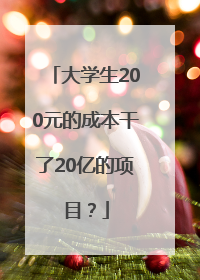大学生200元的成本干了20亿的项目？