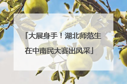 大展身手！湖北师范生在中南民大赛出风采