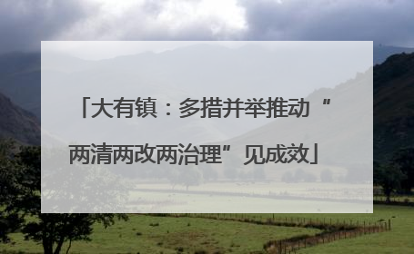 大有镇：多措并举推动“两清两改两治理”见成效