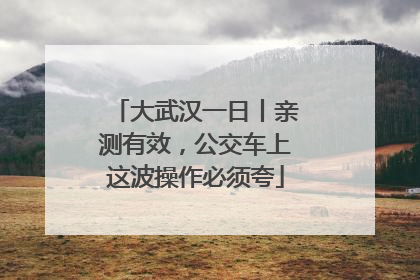 大武汉一日丨亲测有效，公交车上这波操作必须夸