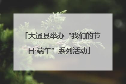 大通县举办“我们的节日·端午”系列活动