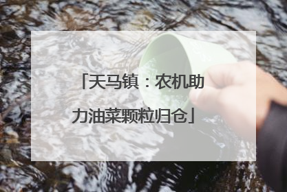 天马镇：农机助力油菜颗粒归仓
