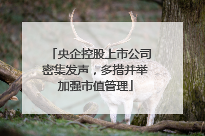 央企控股上市公司密集发声，多措并举加强市值管理