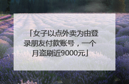 女子以点外卖为由登录朋友付款账号，一个月盗刷近9000元