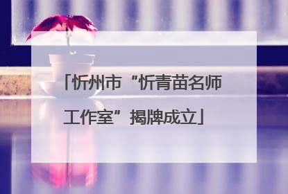 忻州市“忻青苗名师工作室”揭牌成立