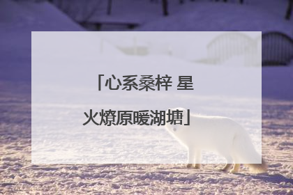 心系桑梓 星火燎原暖湖塘