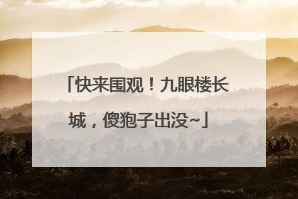 快来围观！九眼楼长城，傻狍子出没~