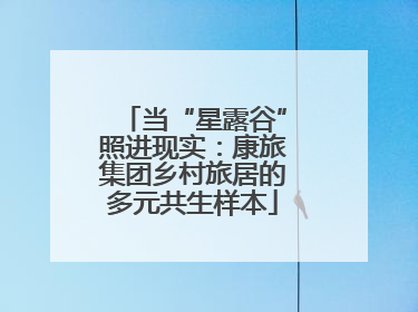 当“星露谷”照进现实：康旅集团乡村旅居的多元共生样本