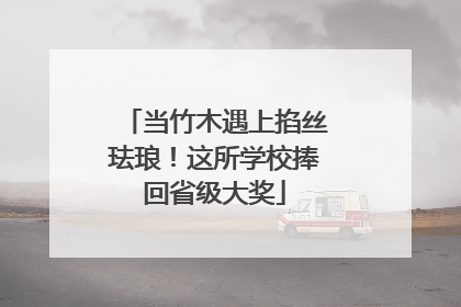 当竹木遇上掐丝珐琅！这所学校捧回省级大奖