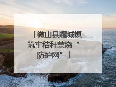 微山县驩城镇筑牢秸秆禁烧“防护网”