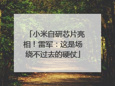 小米自研芯片亮相！雷军：这是场绕不过去的硬仗