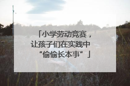 小学劳动竞赛，让孩子们在实践中“偷偷长本事”