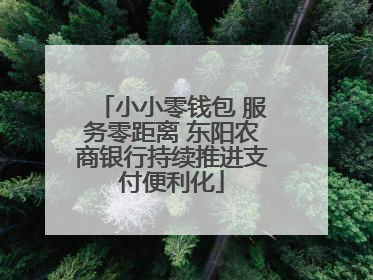 小小零钱包 服务零距离 东阳农商银行持续推进支付便利化
