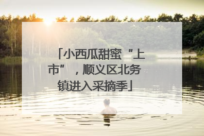 小西瓜甜蜜“上市”，顺义区北务镇进入采摘季