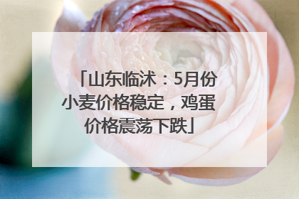 山东临沭：5月份小麦价格稳定，鸡蛋价格震荡下跌