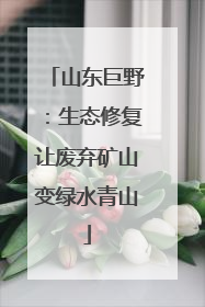山东巨野：生态修复让废弃矿山变绿水青山