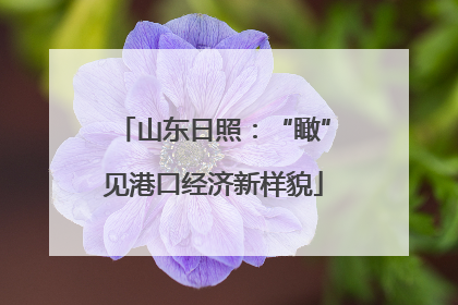 山东日照：“瞰”见港口经济新样貌