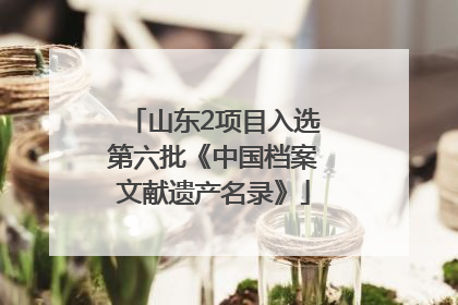 山东2项目入选第六批《中国档案文献遗产名录》