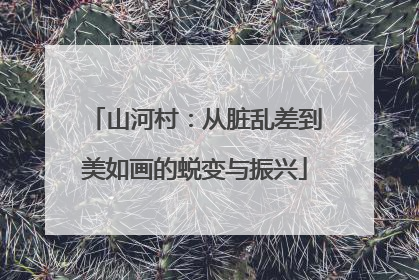山河村：从脏乱差到美如画的蜕变与振兴