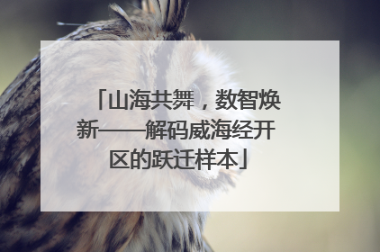 山海共舞，数智焕新——解码威海经开区的跃迁样本