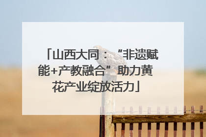 山西大同：“非遗赋能+产教融合”助力黄花产业绽放活力