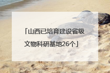 山西已培育建设省级文物科研基地26个