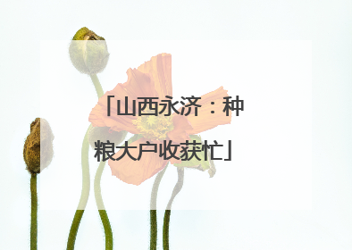 山西永济：种粮大户收获忙