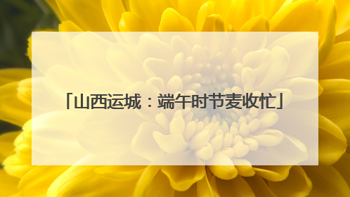 山西运城：端午时节麦收忙
