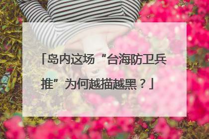 岛内这场“台海防卫兵推”为何越描越黑？