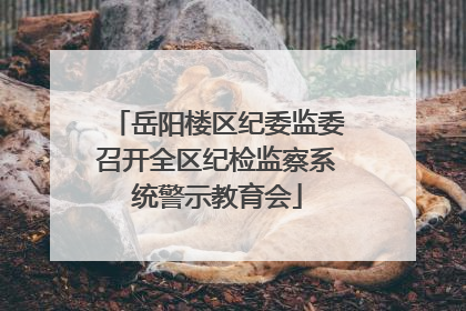 岳阳楼区纪委监委召开全区纪检监察系统警示教育会