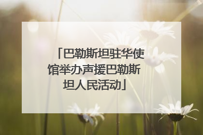 巴勒斯坦驻华使馆举办声援巴勒斯坦人民活动