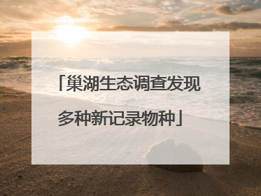 巢湖生态调查发现多种新记录物种