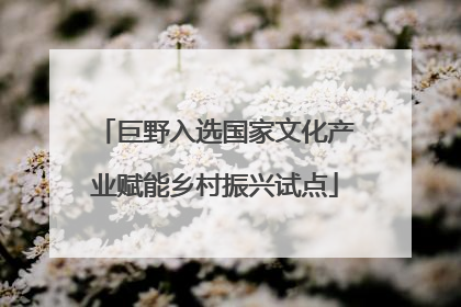 巨野入选国家文化产业赋能乡村振兴试点
