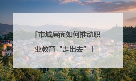 市域层面如何推动职业教育“走出去”