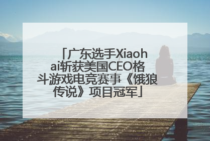 广东选手Xiaohai斩获美国CEO格斗游戏电竞赛事《饿狼传说》项目冠军