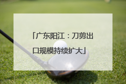 广东阳江：刀剪出口规模持续扩大