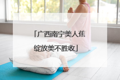 广西南宁美人蕉绽放美不胜收