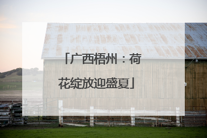 广西梧州：荷花绽放迎盛夏