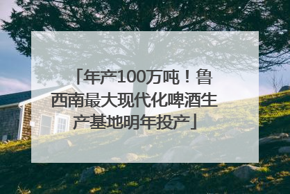 年产100万吨！鲁西南最大现代化啤酒生产基地明年投产